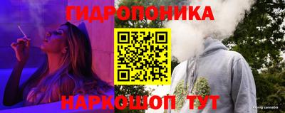 прущая мука Кимры