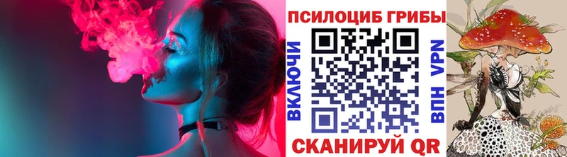 blacksprut tor  Лесной  Псилоцибиновые грибы MAGIC MUSHROOMS 
