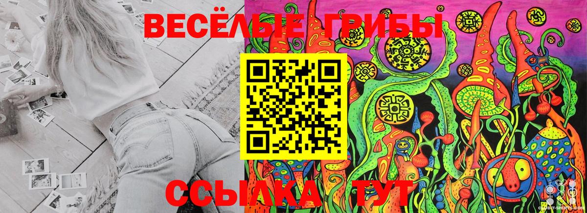 Галлюциногенные грибы мицелий  Псилоцибиновые грибы MAGIC MUSHROOMS  Лесной  Вход с VPN 